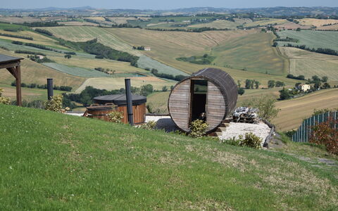 Casa In Collina: Colina, Paisaje, Llanura, Pradera, Área Rural, Campo, Valle, Pradera, Granja