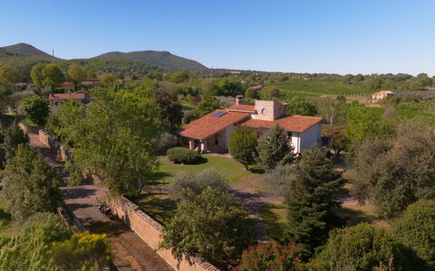 Villa Ginevra: Árbol, Naturaleza, Casa, Barrio Residencial, Paisaje, Casa, Vegetación, Área Rural, Techo