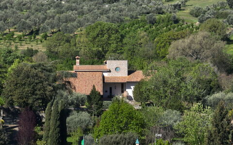 Villa Ginevra: Árbol, Arbusto, Casa, Techo, Casa, Área Rural, El Terreno Del Lote, Inmuebles, Plantación, Jardín