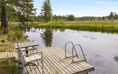 Mustijoki
