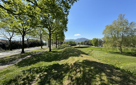 Il Cervo In Città: Verde, Hierba, Naturaleza, Paisaje Natural, Vegetación, Pradera, Colina, Llanura, Paisaje, El Terreno Del Lote