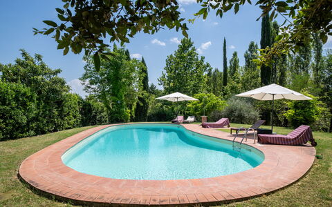 Casa La Cedrina, Pool, Lornano: Azul, Piscina, Jardín, Sombra, Mueble Para Exteriores, Paisajismo, Hacienda, Inmuebles, Eco Hotel, Yarda