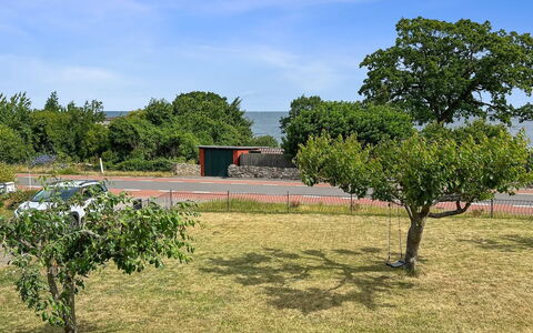 Hermine - 250M from the Sea: Hoja, Vegetación, Arbusto, Llanura, Cobertura Del Suelo, Jardín, Sombra, Plantas Leñosas, Suelo