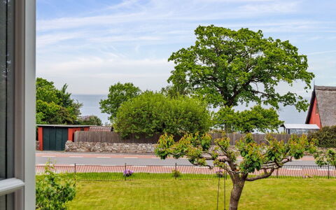 Hermine - 250M from the Sea: Hoja, Rama, Arbusto, Primavera, Jardín, Sombra, Plantas Leñosas, Ramita, Césped