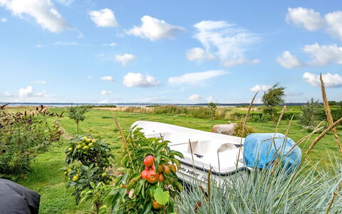 Bondi - 75M from the Sea: Hierba, Pradera, El Terreno Del Lote, Cabaña, Área Rural, Prado, Edificios Del Jardín, Jardín, Cobertizo