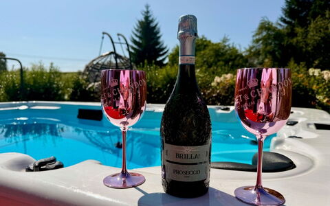 Luxury Palace with Swimming Spa&Jacuzzi: Botella, Drinkware, Vajilla, Botella De Vidrio, Stemware, Vino