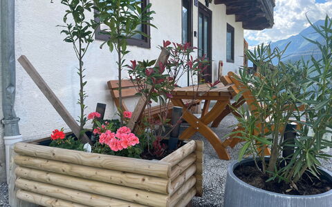 Panoramaperle: Madera, Maceta, Planta De Casa, Jardín, Madera Dura, Floristas, Tablón, Manchas De Madera, Hierba