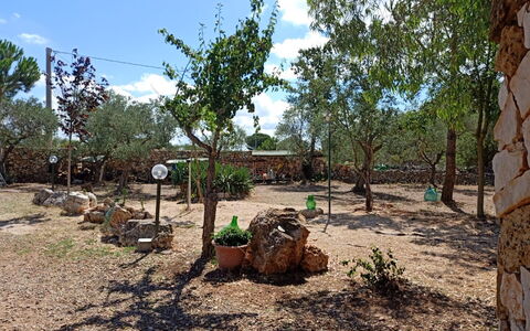 Borgo Incanto: Árbol, Paisaje, Suelo, El Maletero, Plantas Leñosas, Jardín, Sombra, Paisajismo, Patio Interior, Camino