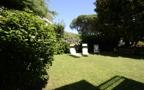 Casa Silvia: Hoja, Arbusto, Jardín, Césped, Cobertura Del Suelo, Patio Interior, Sombra, Yarda, Paisajismo, Cobertura