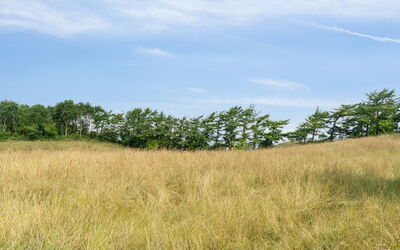 Dorthie - 1.7Km from the Sea