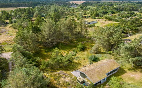 Saila - 1.2Km from the Sea: Vegetación, Paisaje, Ecorregión, El Terreno Del Lote, Planta De La Comunidad, Área Rural, Cabaña, Campo, Prado, Plantación