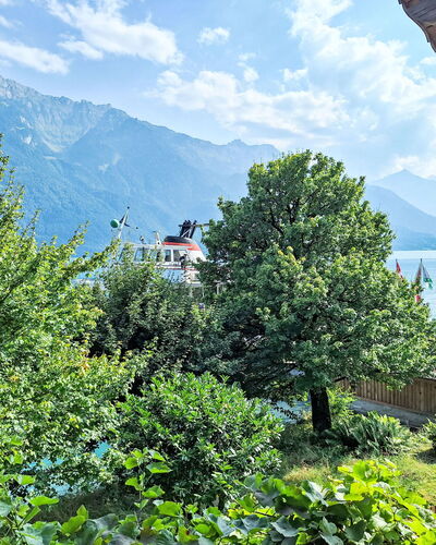 Haus am See 130.1