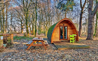 Boudicca Pod
