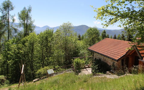 Baita Costa Di Gial: Árbol, Casa, Cabaña, Área Rural, Hill Station, Alerce, Cordillera, Pueblo, Pueblo De Montaña