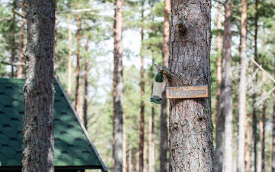 Alojamiento:&nbsp;Beekeepers Bothy 101.1