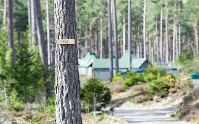 Alojamiento:&nbsp;Oak Bothy 101.11