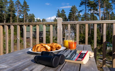 Alojamiento:&nbsp;Birch Bothy 101.7