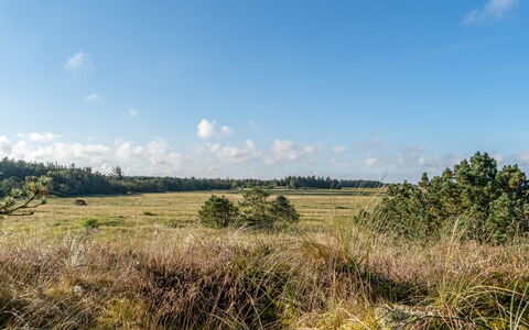 Anneka - 750M from the Sea: Cielo, Azul, Hierba, Entorno Natural, Nube, Pradera, Vegetación, Paisaje Natural, Ecorregión, Llanura