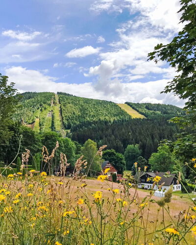 Harrachov 509