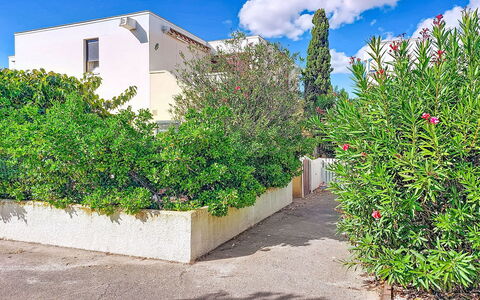 Le Barcarès 255: Arbusto, Jardín, Barrio Residencial, Planta De La Comunidad, El Terreno Del Lote, Cobertura Del Suelo, Paisajismo, Patio Interior, Yarda