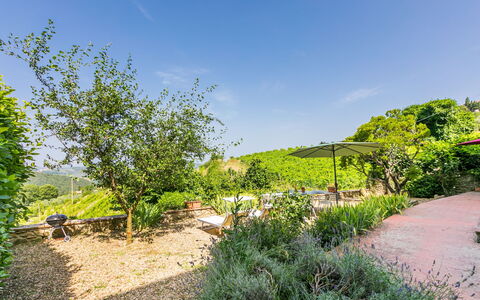Ridaldi: Verde, Vegetación, Arbusto, Paisaje, Planta De La Comunidad, Jardín, Área Rural, Cobertura Del Suelo, Primavera