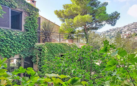 Villa 50: Vegetación, Arbusto, Jardín, Sombra, Hojas Perennes, Cobertura