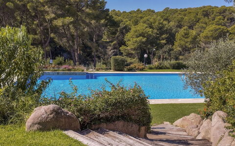 Sol Pins Tamariu: Árbol, Piscina, Sombra, Recurso, Jardín, Paisajismo, Zona Tropical, Eco Hotel, Fuente De Agua, Thermae