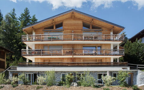 Apollo 2: Madera, Casa, Balcón, Departamento, Porche, Sombra, Madera Dura, Maderas, Diseño, Manchas De Madera