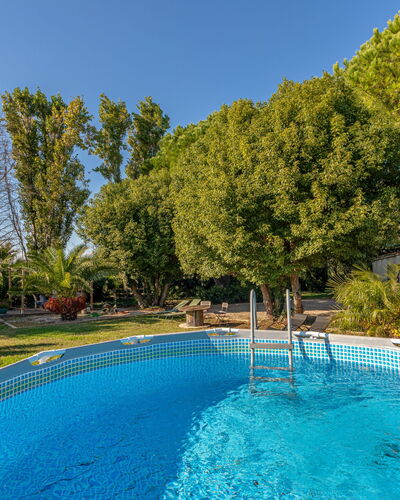Palmeraie: Azul, Agua, Piscina, Sombra, Recurso, Ocio, Mueble Para Exteriores, Eco Hotel, Jardín, Paisajismo