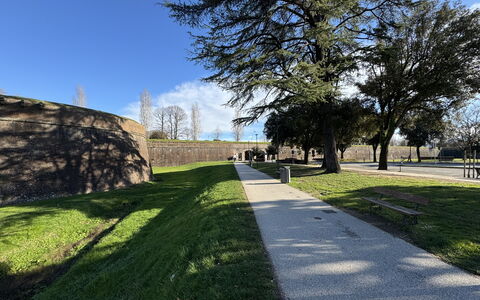 Casa Capolino: Hierba, Árbol, Césped, Pasarela, Acera, Paisajismo, Jardín, Parque, Entrada De Coches, Sombra