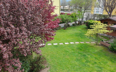 House Martina: Arbusto, Jardín, Cobertura Del Suelo, Césped, Primavera, Patio Interior, Yarda, Paisajismo, Parque