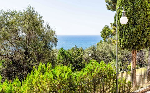 Casa del Mare: Azul, Tiempo De Día, Hoja, Vegetación, Mar, Oceano, Cerca