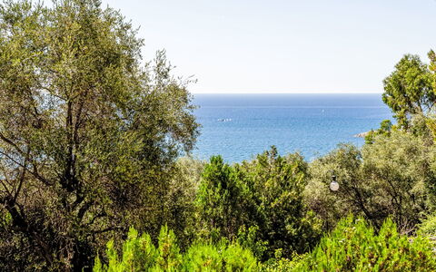 Casa del Mare: Azul, Verde, Hoja, Vegetación, Planta De La Comunidad, Mar, Oceano, Reserva Natural, Luz De Sol, Costa
