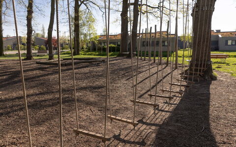 Seeleuchten: Madera, Espacio Publico, El Maletero, Sombra, Plantas Leñosas, Parque, Césped, Suelo, Bosque, Paisajismo