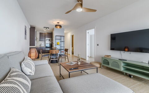 Punta del Sol: Congelación, Invierno, Nieve, Alerce