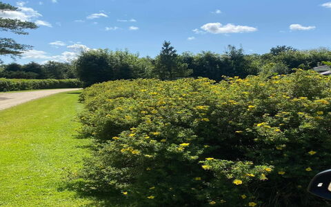 Vilhelm - 10Km from the Sea: Azul, Cabaña, Casa, Casa, Casa De Campo, Inmuebles, Vía Muerta