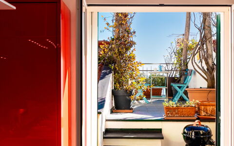 Terrazza con Glicine: Maceta, Planta De Casa, Manchas De Madera, Balcón, Madera Dura, Silla, Eco Hotel, Barniz, Inicio De La Puerta, Suelos De Madera