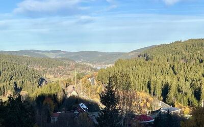 Falkennest - mit Blick auf Den Titisee