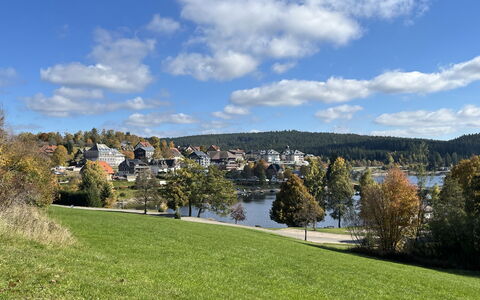Sonnige Aussichten: Naturaleza, Paisaje, Banco, Lago, Reservorio, Prado, Césped, Lago