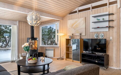 Galin - 210M to the Fjord: Madera, Diseño De Interiores, Techo, Mueble, Lámpara, Casa, Encendiendo, Piso, Sala, Habitación