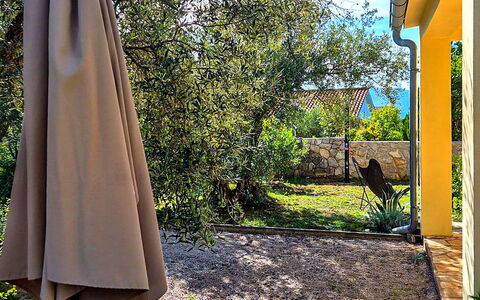 Sandra: Sombra, Jardín, Patio Interior, Paisajismo, Yarda, Diseño, Losa, Estructura Al Aire Libre, Eco Hotel, Maceta