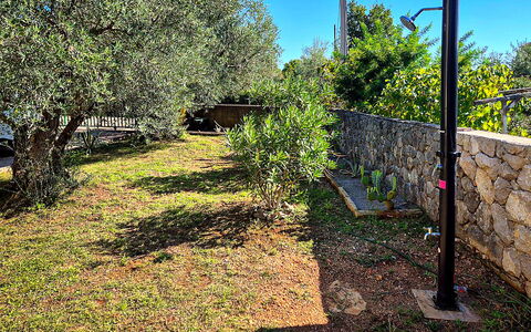 Sandra: Jardín, Paisajismo, Patio Interior, Cerca