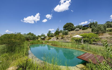 Aqua Bio Retreat: Azul, Paisaje Natural, Estanque, Jardín, Piscina, Reflexión, Paisajismo, Reservorio, Eco Hotel