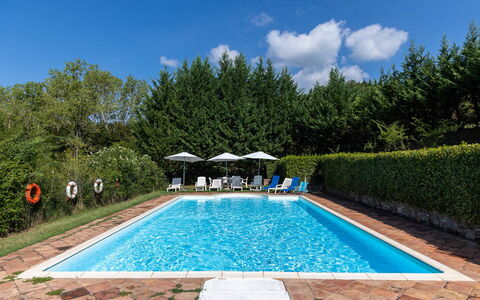 Mulino di Carpineto with Pool Gaiole in Chianti: Piscina, Recurso, Mueble Para Exteriores, Eco Hotel, Jardín, Sombra, Sunlounger, Paisajismo, Thermae, Hacienda