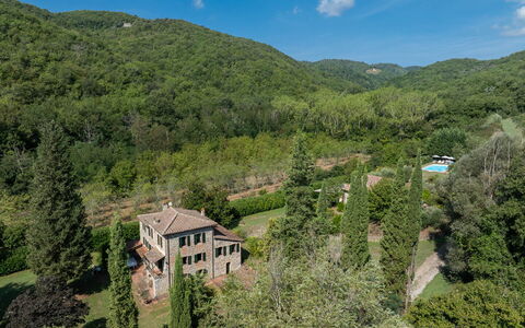 Mulino di Carpineto with Pool Gaiole in Chianti: Entorno Natural, Vegetación, Casa, Casa, Paisaje, Área Rural, Arbusto, Barrio Residencial, Bosque, Planta De La Comunidad