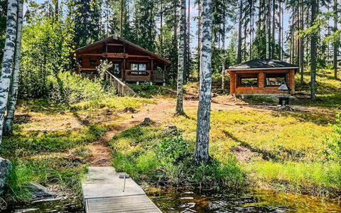 Villa Saimaa: Árbol, Madera, Paisaje Natural, Paisaje, Bosque, Bosque, Banco, Planta De La Comunidad, Cabaña