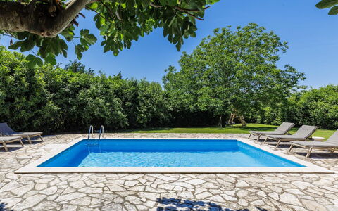 Elli: Azul, Piscina, Recurso, Sombra, Mueble Para Exteriores, Jardín, Eco Hotel, Paisajismo, Patio Interior, Villa