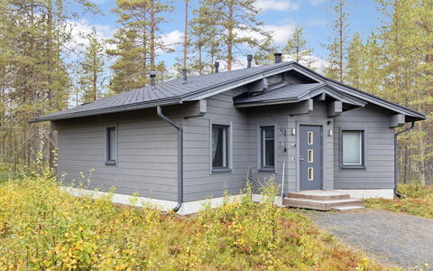 Nuunalahti: Árbol, Banco, Casa, Cabaña, Lago, Estanque, Bosque, Cuarto De Troncos