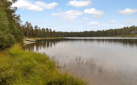 Nuunalahti: Los Recursos Hídricos, Agua, Cuerpo De Agua, Verde, Naturaleza, Entorno Natural, Paisaje Natural, Banco, Pantano
