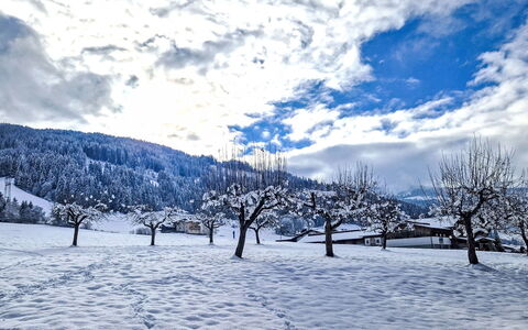 Weerberg 1: Nieve, Azul, Invierno, Rama, Paisaje, Congelación, Pendiente, Fenómeno Geológico, Ramita, Hill Station